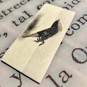 Marcapáginas ave muerta