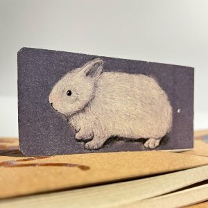 Marcapáginas conejos y zanahorias