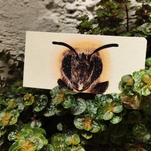 Abeja marcapáginas con imán